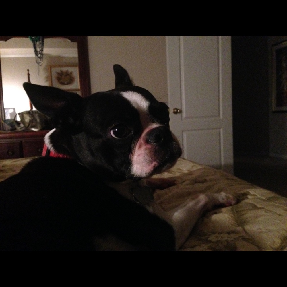 Meet your Posher, September